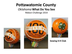 Pott County_OCES Ball